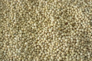 Soybeans from Nigeria